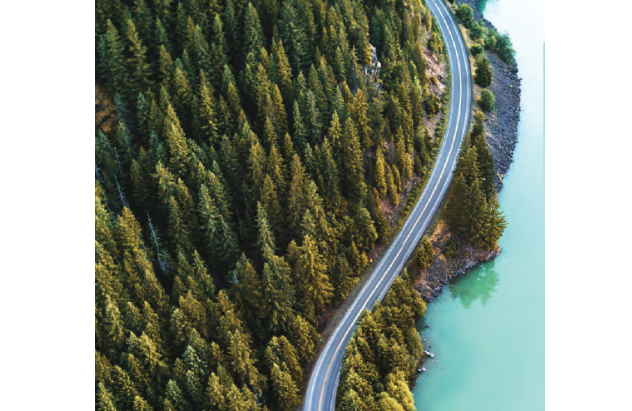 Trust and Transparency